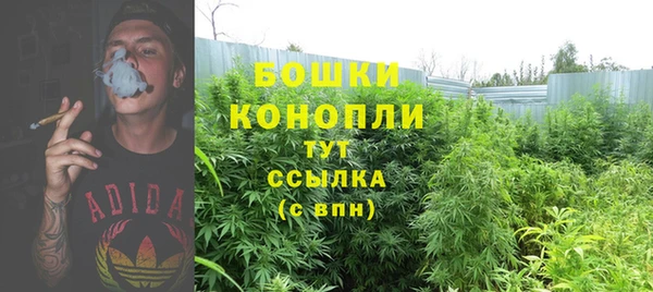 кокаин колумбия Новозыбков