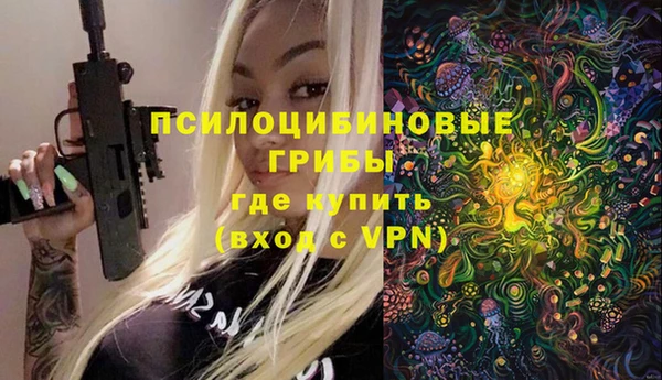 синтетический гашиш Новодвинск