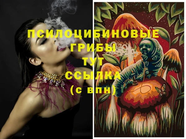 альфа пвп Новокубанск