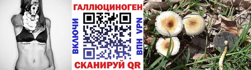 hydra как войти  Салаир  Галлюциногенные грибы ЛСД 